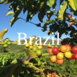 【コーヒー生産国】生産量世界一!!消費もトップ級のコーヒー大国、ブラジル‼︎